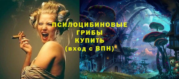 прущие грибы Осинники