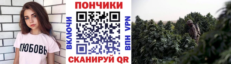 наркошоп  Ижевск  Марихуана AK-47 